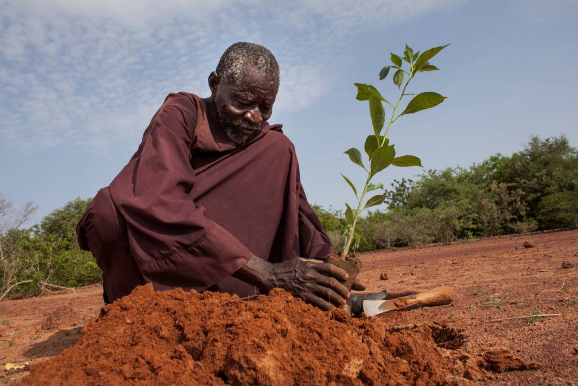 I tre anni della «Laudato Si’» e l’impegno del Magis