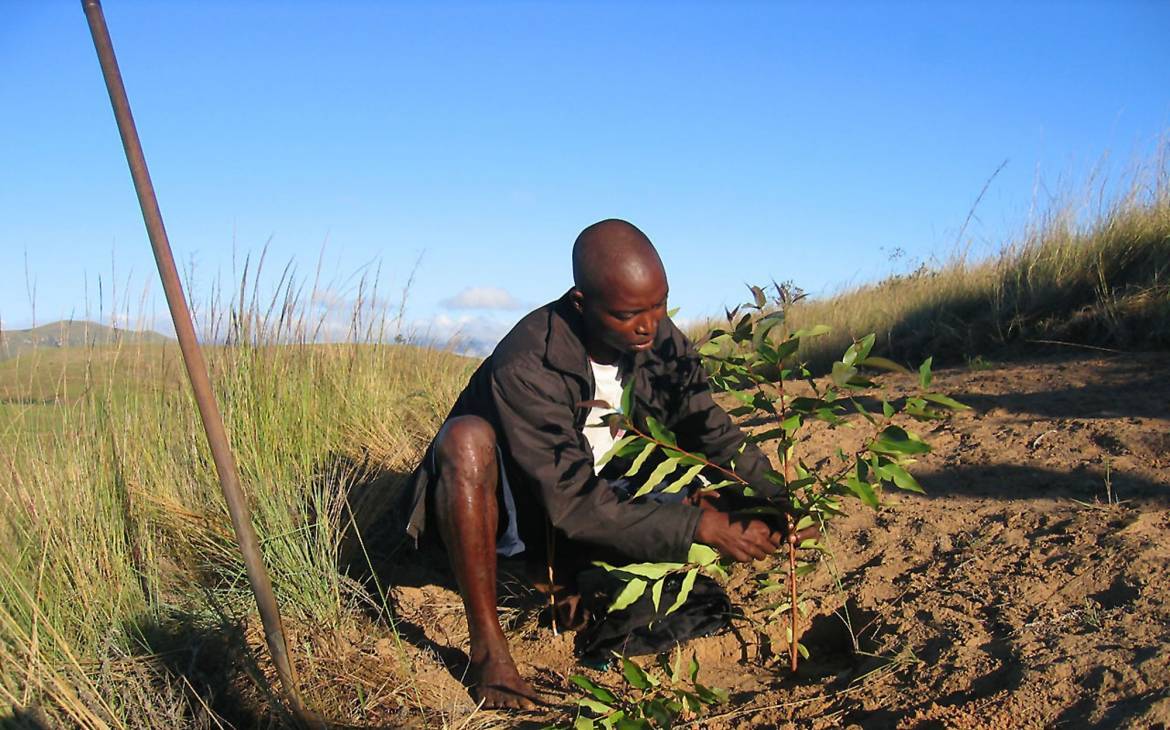 In ascolto del grido della terra e dei poveri