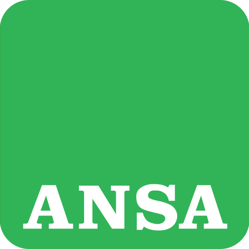 ansa