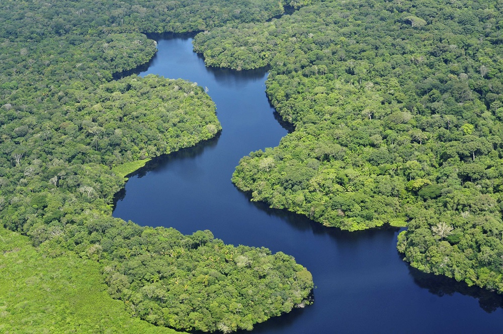 “Querida Amazonia” per tutti noi