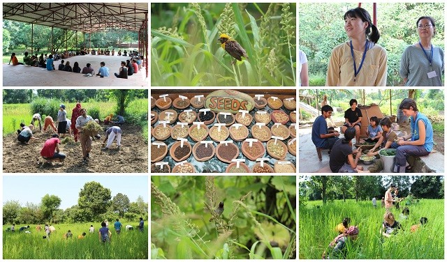 Cura della Casa comune e agricoltura ecologica