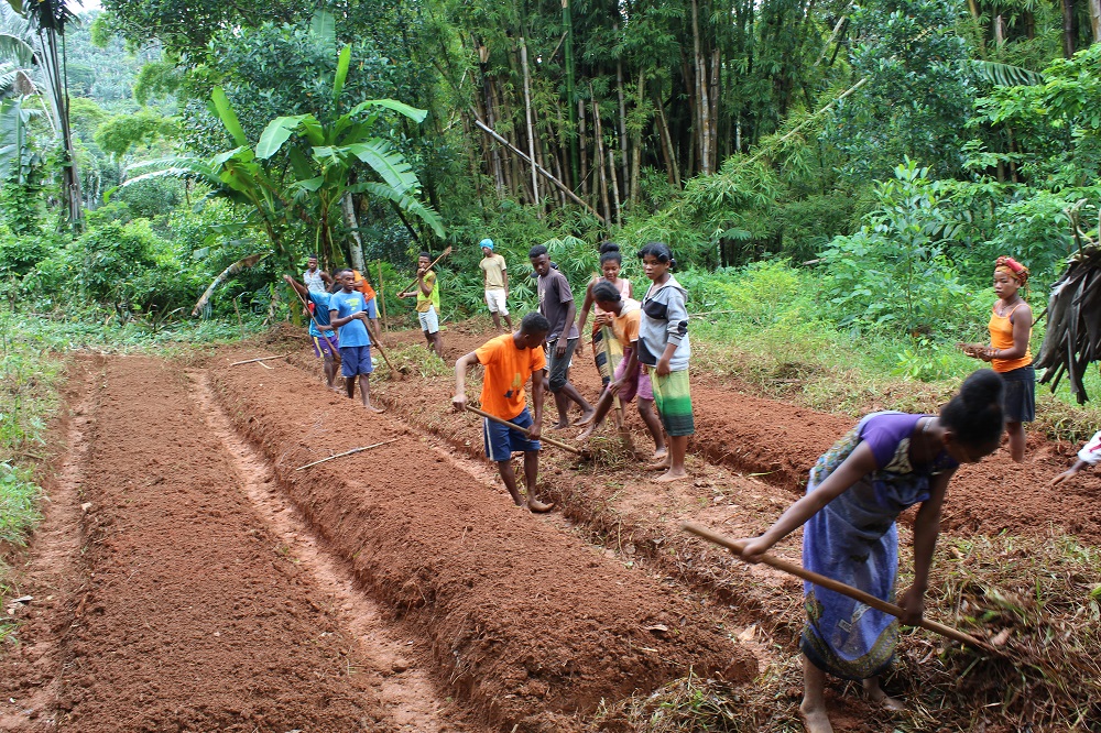 La formazione agricola continua