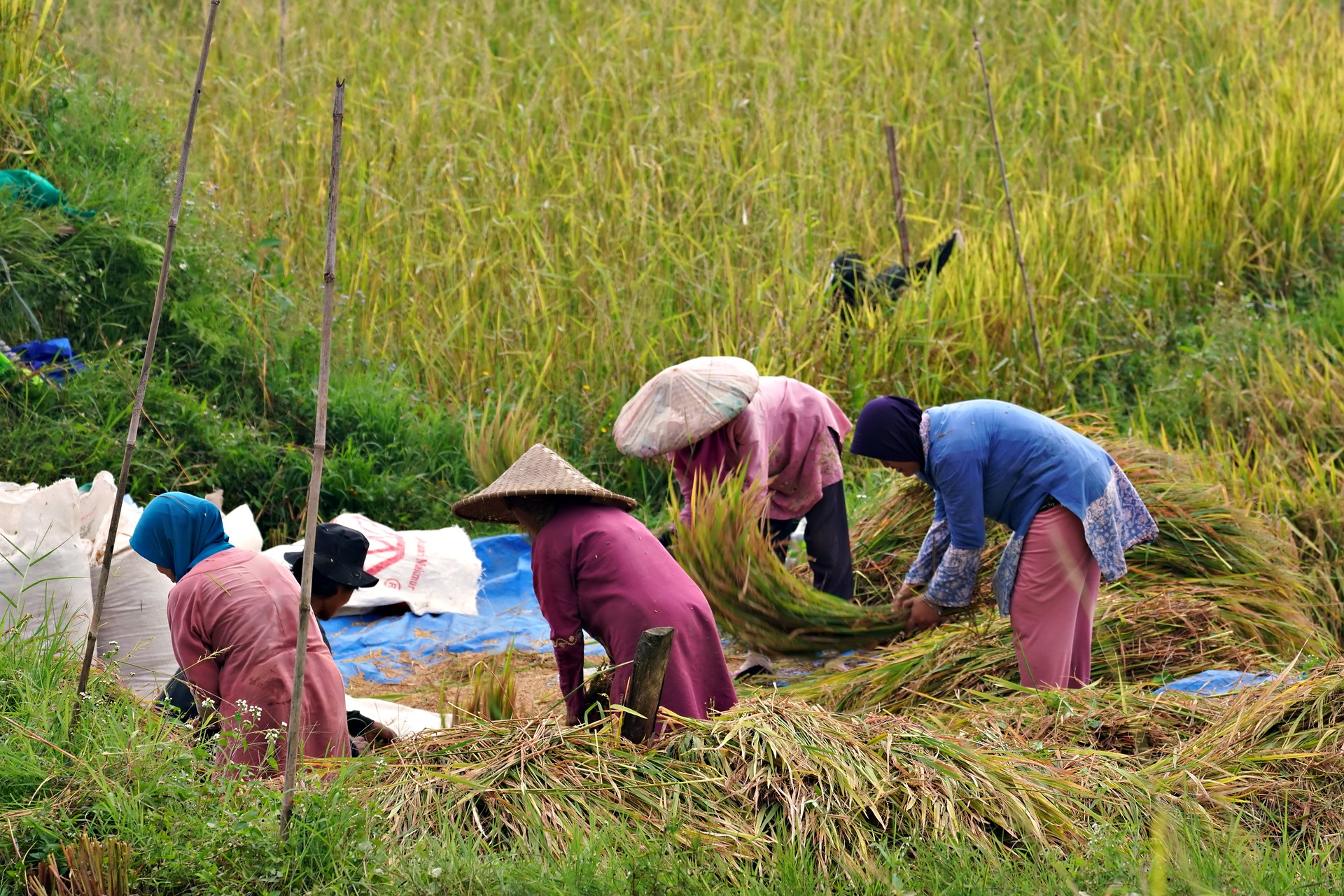 Sri Lanka, storia di una bella rivoluzione