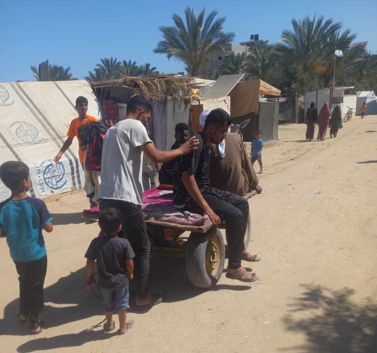 Notizie sul sostegno a Gaza