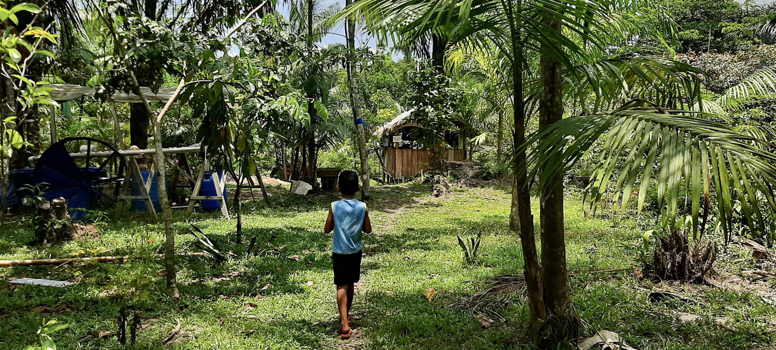 Brasile, COP 30 a Belém: un’Amazzonia che si mobilita