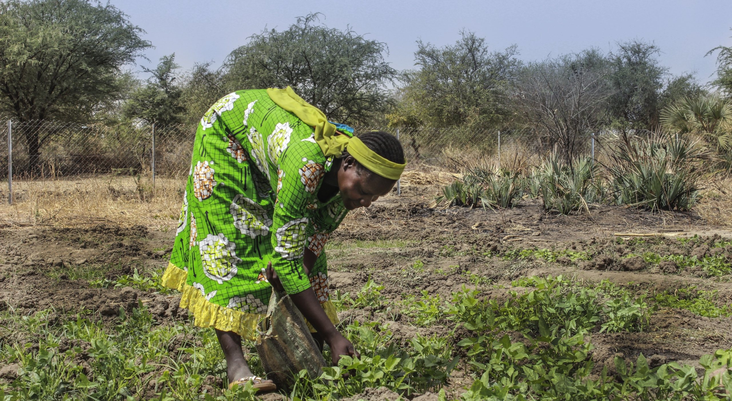 Ciad, agricoltura e ambiente