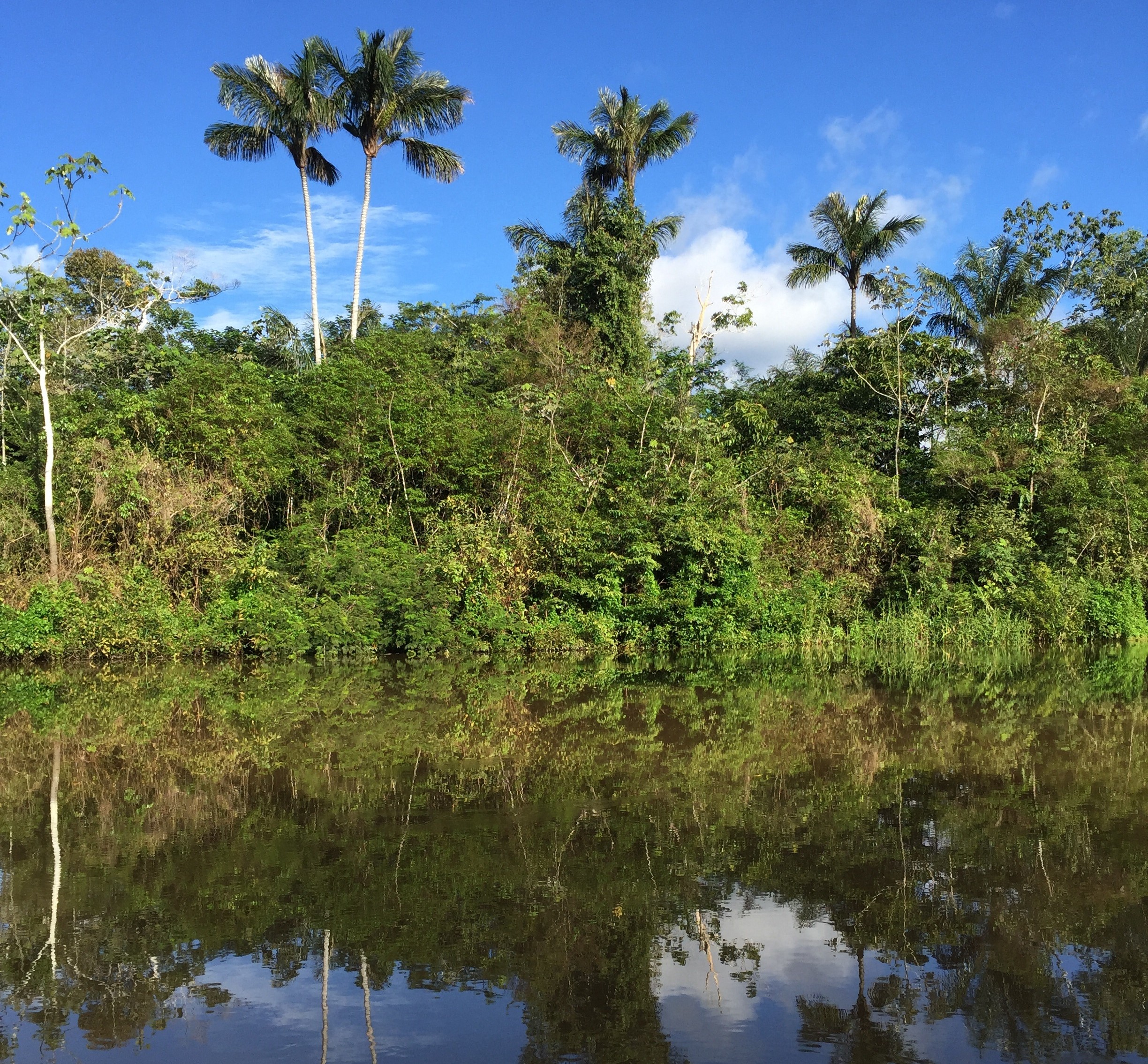 Intervista a Juscelio: educazione, diritti e giustizia socioambientale